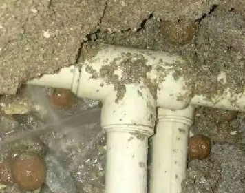 淮滨测漏水多少钱