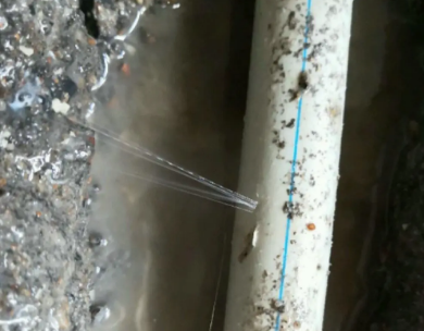 淮滨测漏水哪家好