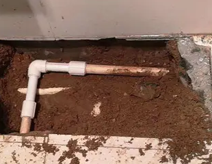 淮滨测漏水哪家好