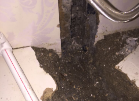 淮滨卫生间测漏水哪家好