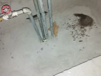 淮滨卫生间测漏水价格明细