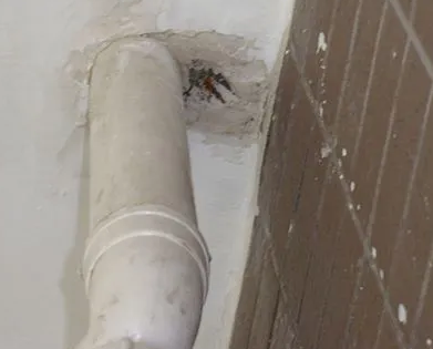 淮滨漏水检测哪家好